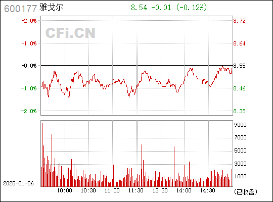 解析600177股票行情，投資視角的深度探討，深度解析，600177股票行情與投資視角探討