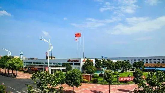 克明面業(yè)股票，行業(yè)翹楚的投資價(jià)值分析，克明面業(yè)股票，行業(yè)翹楚的投資價(jià)值深度解析