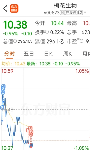 梅花生物股票，投資潛力與市場(chǎng)前景分析，梅花生物股票，投資潛力與市場(chǎng)前景深度解析