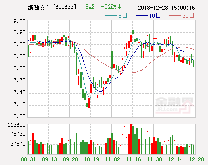 浙數(shù)文化股票，探索數(shù)字文化新時(shí)代的先鋒力量，浙數(shù)文化股票，數(shù)字文化新時(shí)代的先鋒力量探索