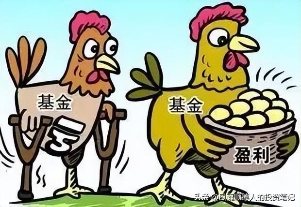指數(shù)基金排名，探尋最佳投資選擇，指數(shù)基金排名及最佳投資選擇探尋