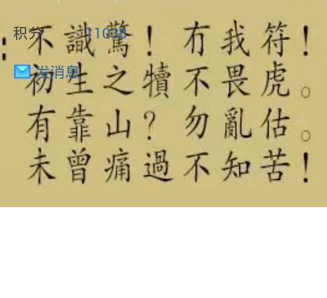 劉伯溫高手論壇與解肖之道，深度探索一句話的智慧，劉伯溫高手論壇與解肖之道，深度解析一句話的智慧之道
