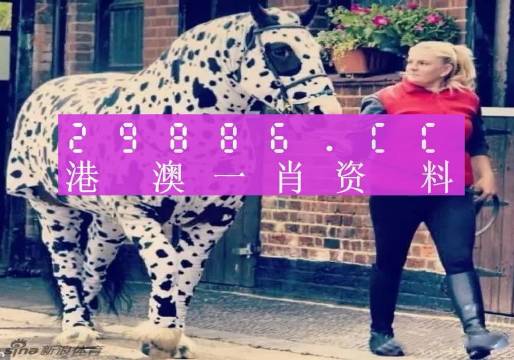 王中王一肖一特一中澳門(mén)，探索與洞察，王中王一肖一特一中澳門(mén)，深度探索與獨(dú)特洞察