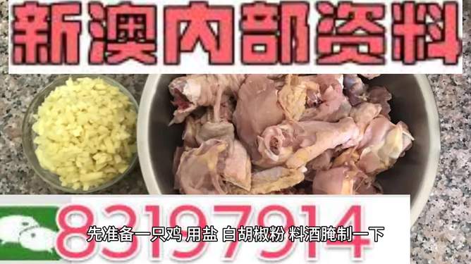 探索未來的澳門——關(guān)于新澳門資料雞號的深度解析，澳門未來展望，深度解析新澳門資料雞號