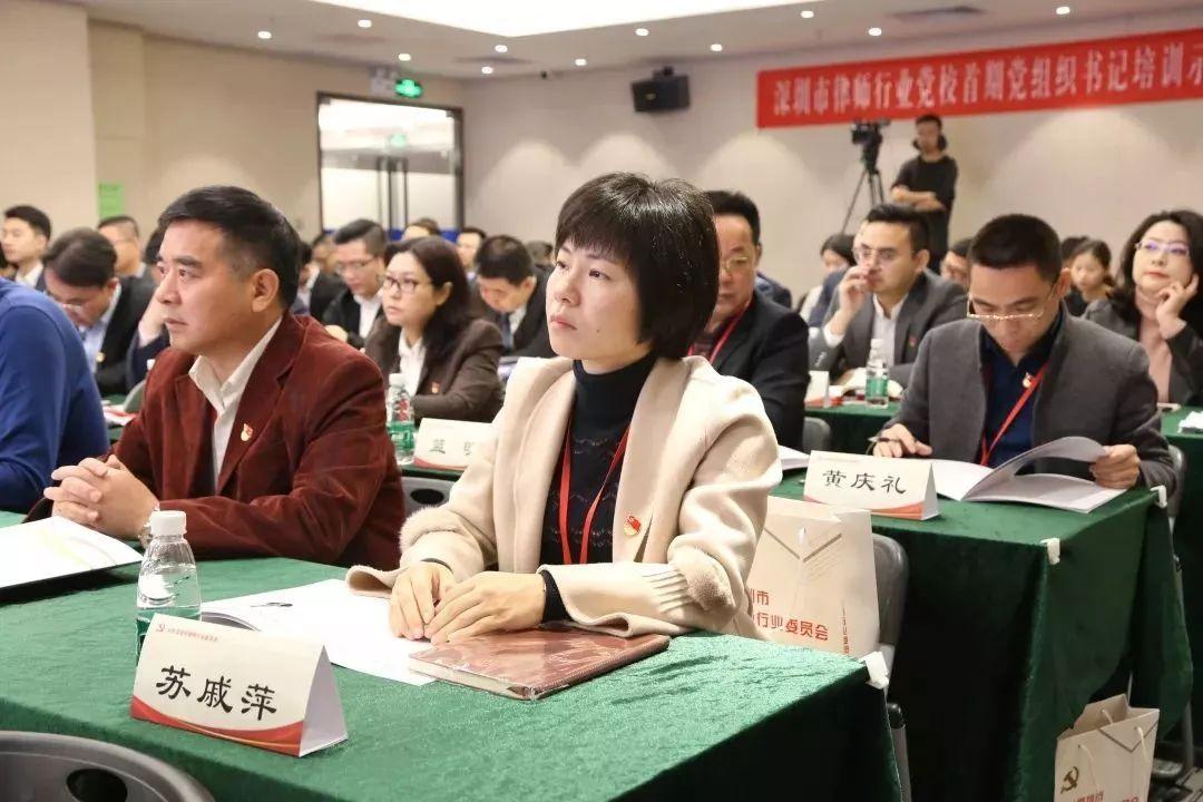 深圳律師服務，專業(yè)、高效、全方位的法務支持，深圳專業(yè)、高效、全方位的律師服務法務支持