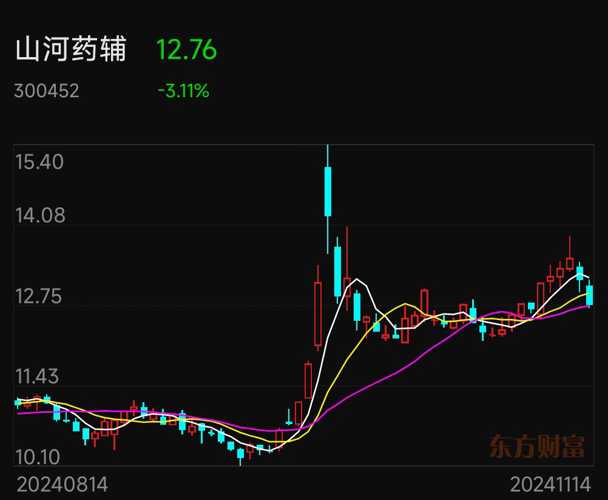 山河藥輔股票，投資潛力與市場前景分析，山河藥輔股票投資潛力與市場前景深度解析