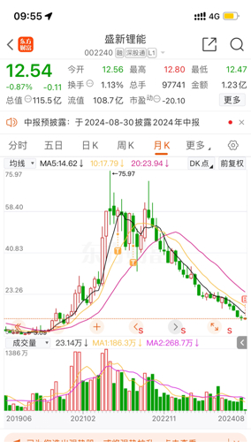 盛新鋰能股，探索新能源領(lǐng)域的璀璨明珠，盛新鋰能股，新能源領(lǐng)域的璀璨明珠探索