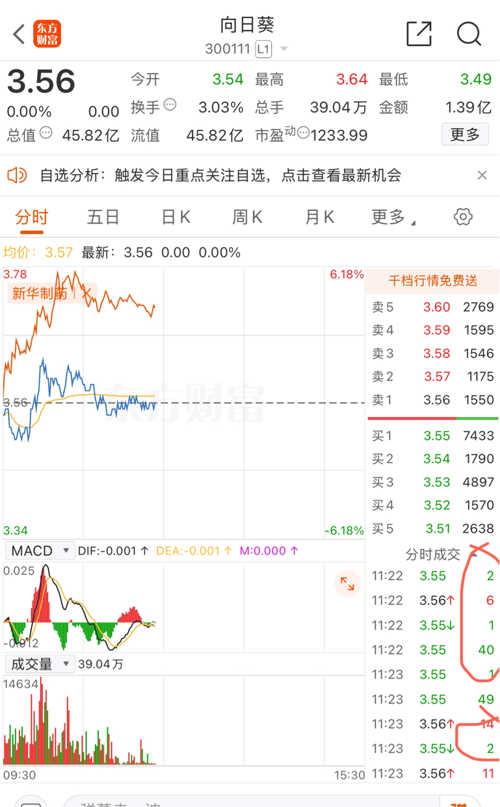 探索300111向日葵股吧的獨特魅力，揭秘300111向日葵股吧的獨特魅力與吸引力