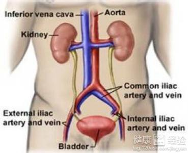前列腺疾病的治療與藥物選擇，前列腺疾病治療與藥物選擇攻略