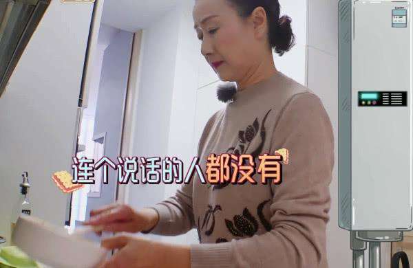 袁成杰，星光熠熠的明星魅力與個(gè)人資料揭秘，袁成杰，星光熠熠的明星魅力與個(gè)人檔案揭秘