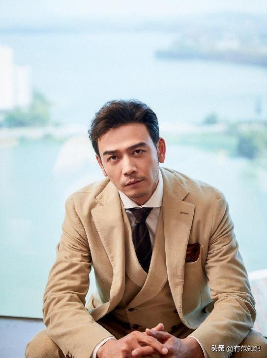 楊爍十部必看電視劇，演技與魅力的獨(dú)特展現(xiàn)，楊爍演技與魅力的獨(dú)特展現(xiàn)，十部必看電視劇推薦