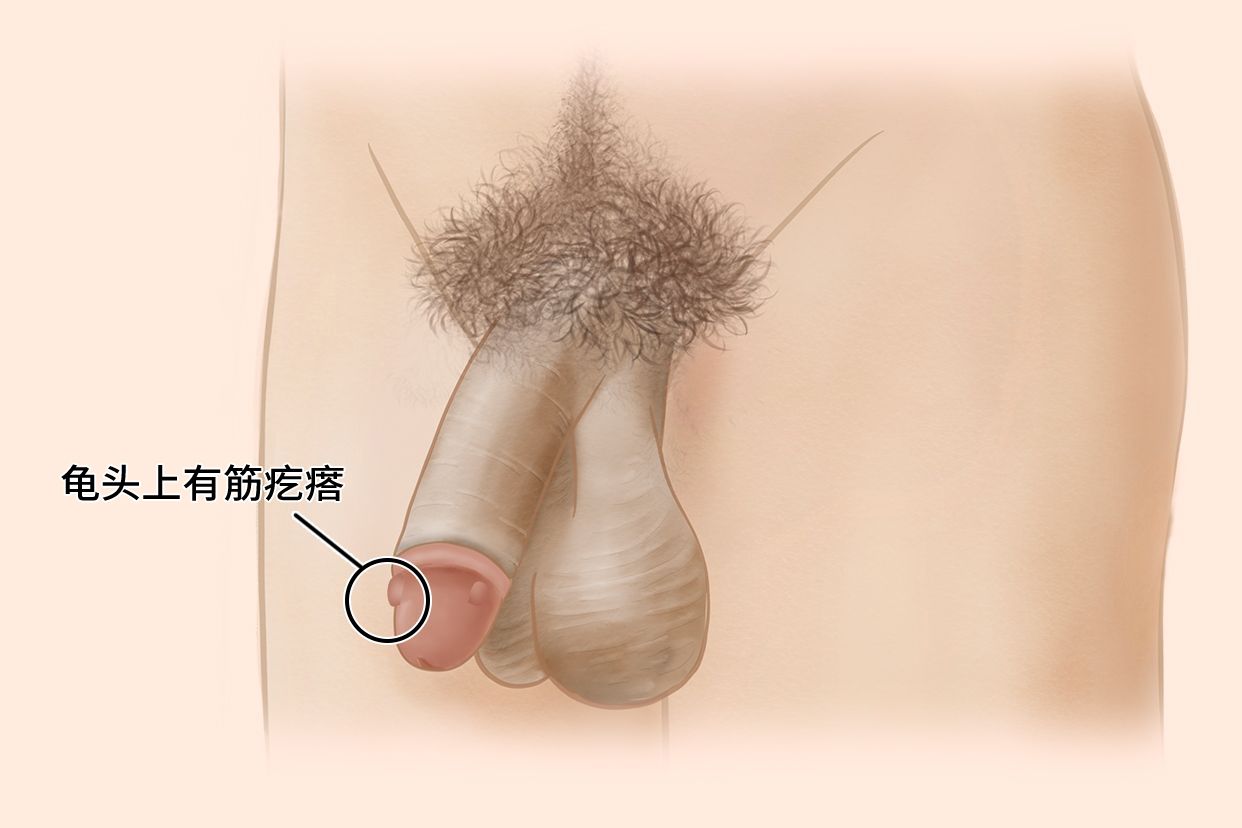 星辰大海 第18頁