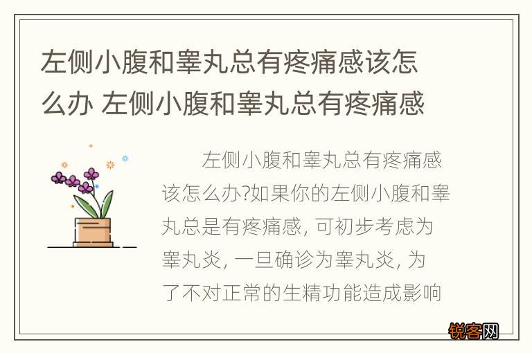左側(cè)蛋蛋隱隱作痛，原因、影響與應(yīng)對(duì)措施，左側(cè)蛋蛋隱隱作痛，原因、影響及應(yīng)對(duì)之策