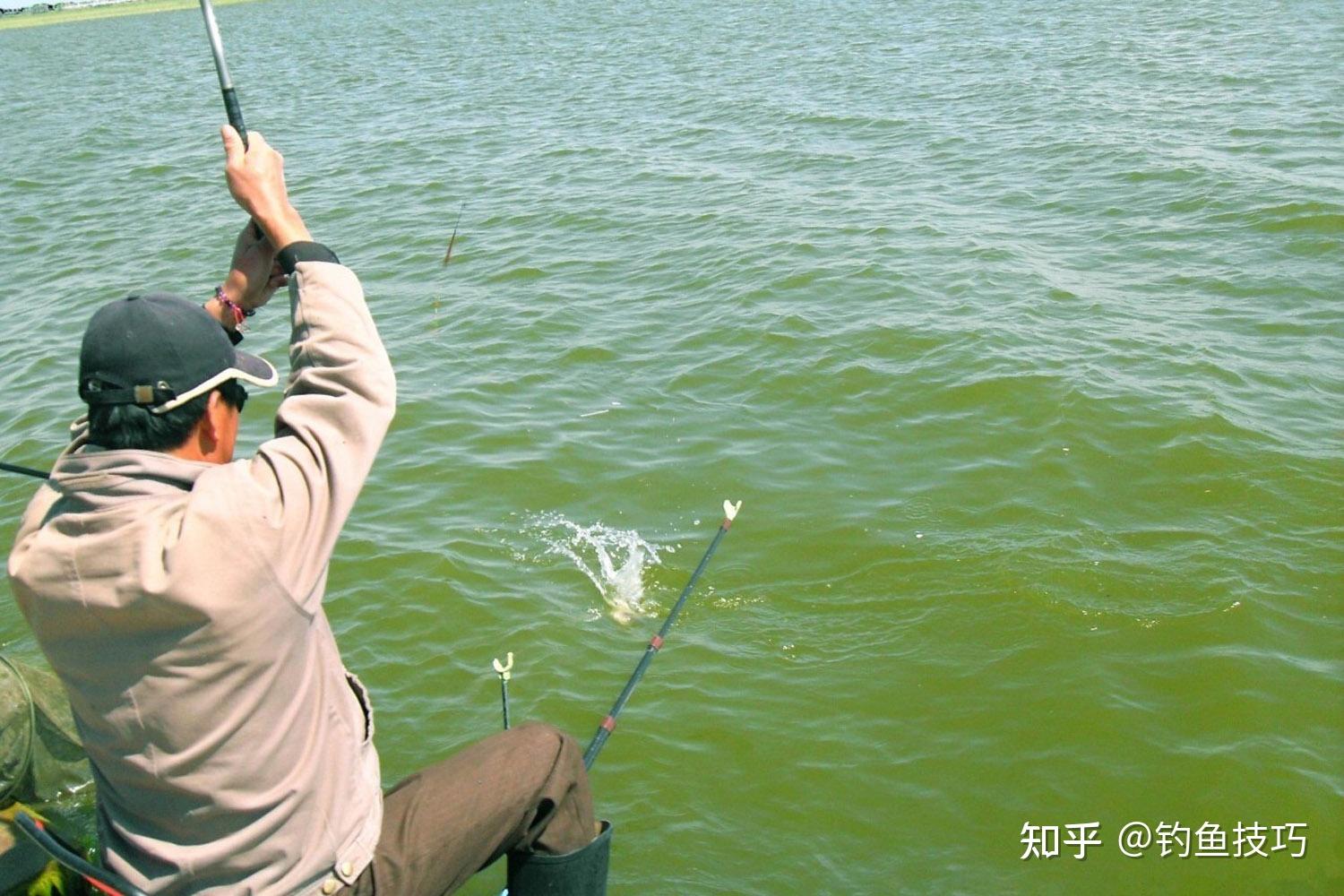 釣魚技巧詳解，如何精準捕捉心儀的魚獲，釣魚技巧全解析，精準捕捉心儀魚獲攻略
