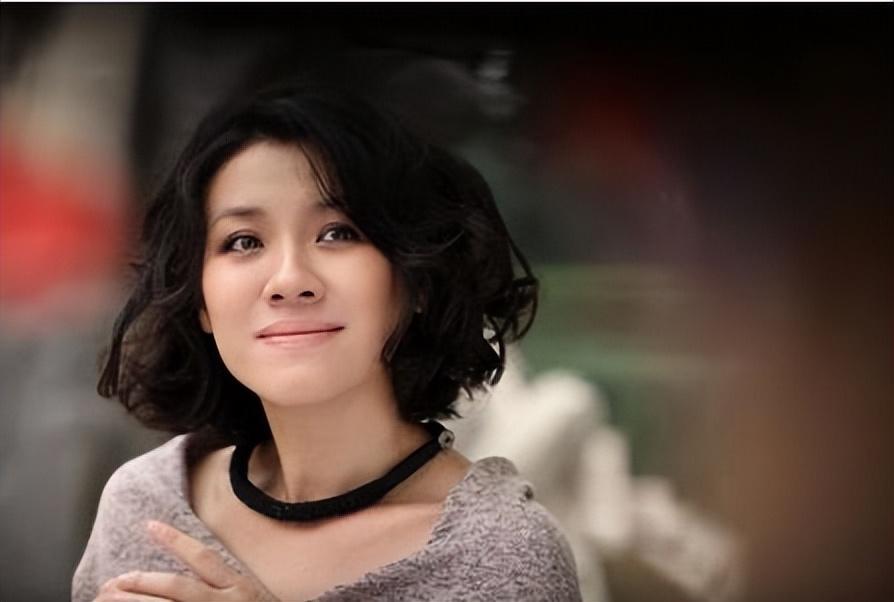 梅婷，演員的魅力與才華的展現(xiàn)，梅婷，演員的魅力與卓越才華展示