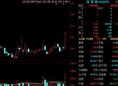 雪萊特股票股吧——探索與洞察的投資世界，雪萊特股票股吧，投資世界的深度探索與洞察