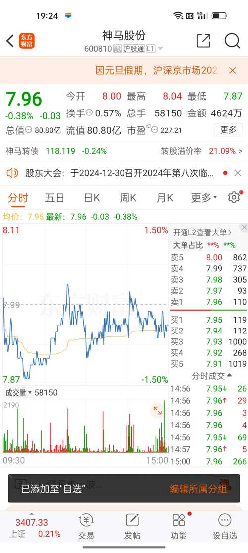 神馬股份（股票代碼，600810）股吧深度解析，神馬股份（股票代碼，600810）股吧全面深度解析