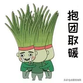 韭菜籽怎么吃壯陽效果好，探索韭菜籽的最佳食用方式，韭菜籽壯陽食用法，探索最佳食用方式