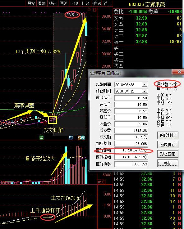 股票603336，深度解析與前景展望，股票603336深度解析與前景展望，投資視角分析