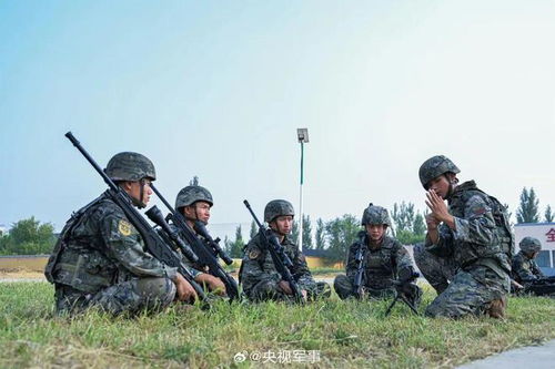 全國雇傭兵征兵網(wǎng)官網(wǎng)，探索現(xiàn)代軍事力量的招募與培養(yǎng)之路，全國雇傭兵征兵網(wǎng)官網(wǎng)，現(xiàn)代軍事力量招募與培養(yǎng)之路探索