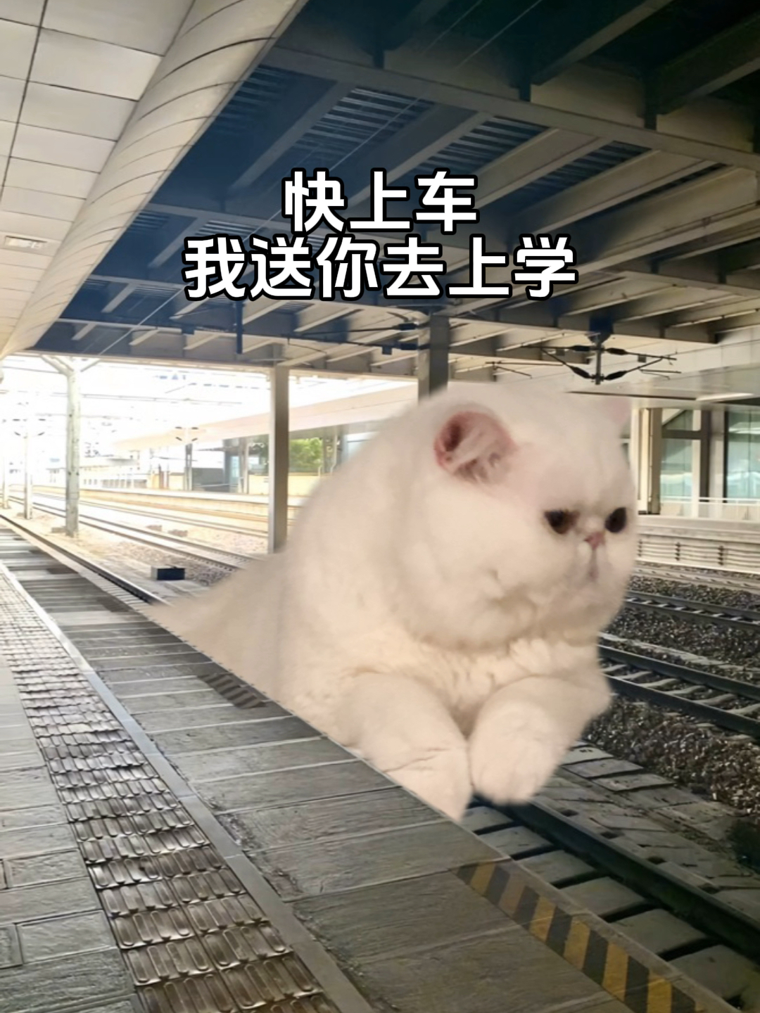 來不及了，快上車！——一場與時間賽跑的冒險之旅，與時間賽跑的冒險之旅，快上車！